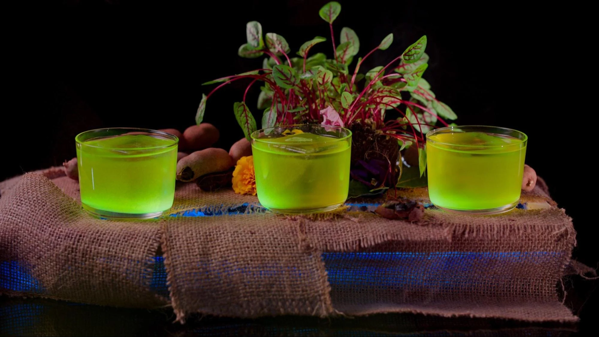 Drink Masters-gallery21